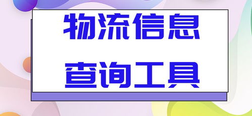 如何将批量查询的物流信息高效导出到表格 咨询服务的实用指南